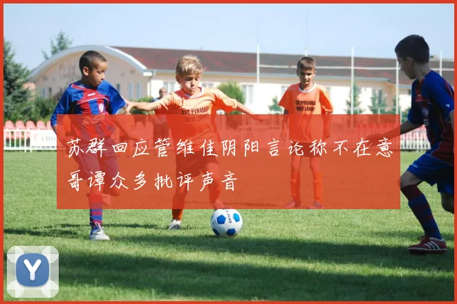 苏群回应管维佳阴阳言论称不在意哥谭众多批评声音