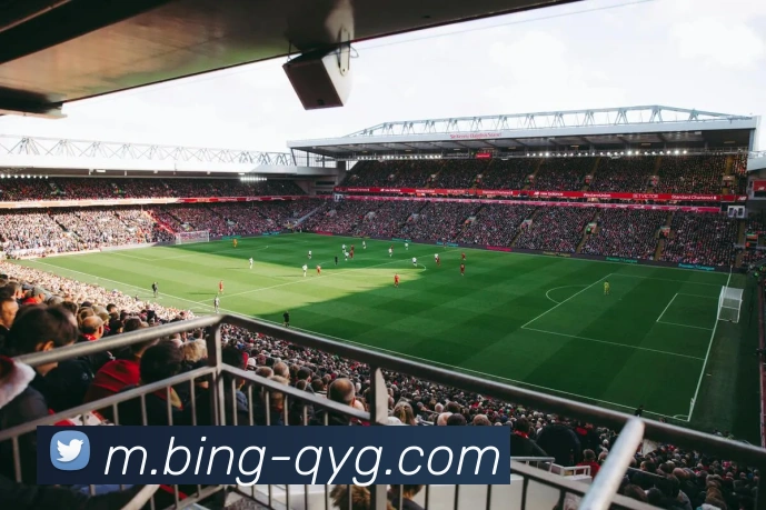 奇异果体育APP 封面图